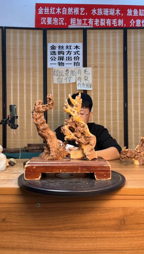 【闪购商品】香榧木云南红河金丝红893.894