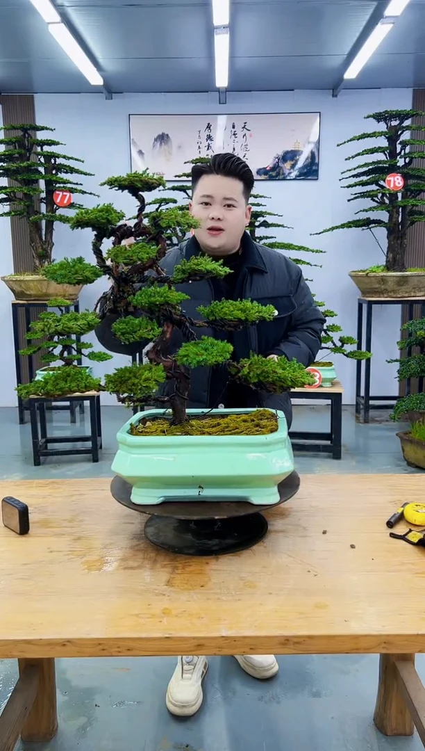 以实际为准0000000