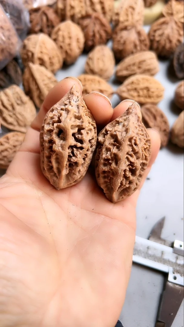 核桃东北野生大秋子1