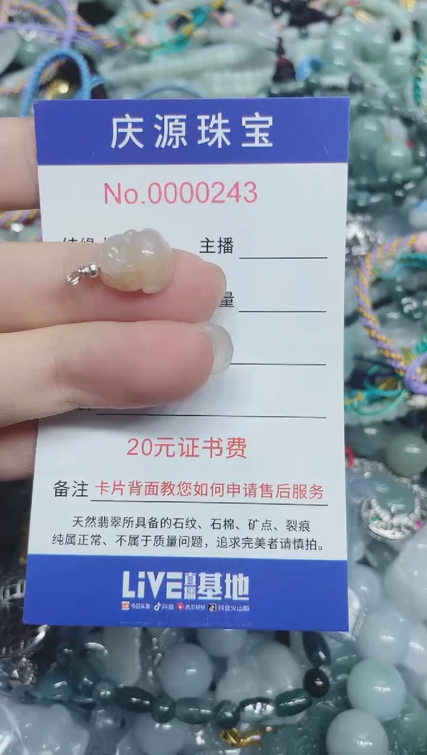 翡翠未镶嵌颈饰212