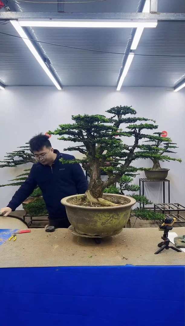 完全开放一物一拍，所见即所得