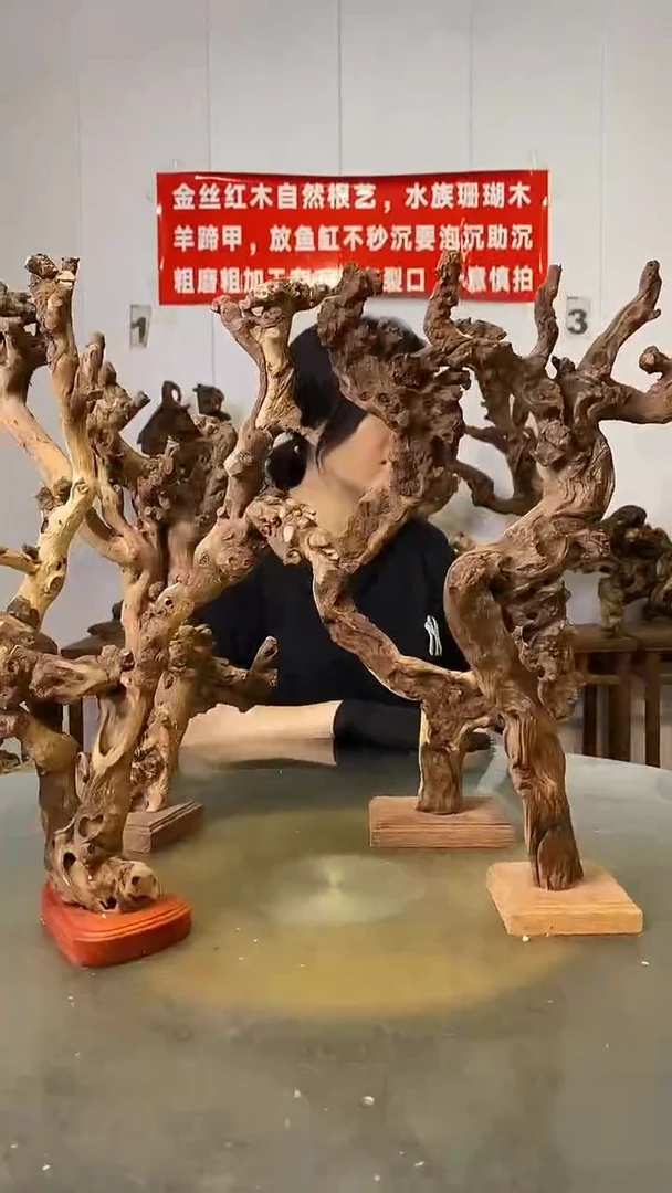 香榧木心**宣金丝红木   羊蹄甲