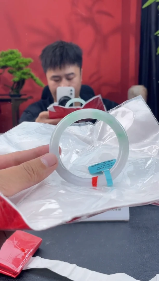 未镶嵌手镯翡翠15