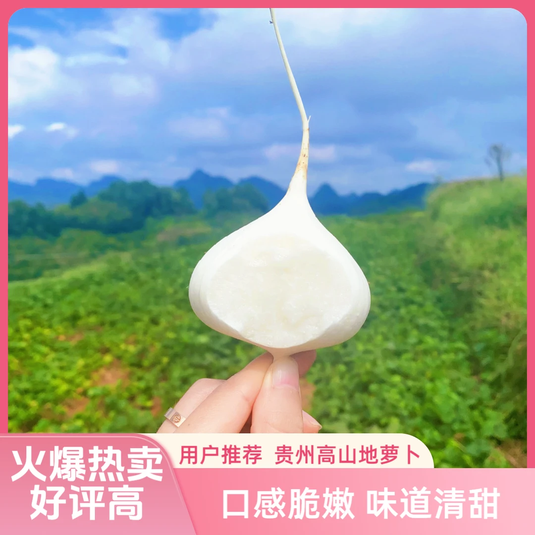 生鲜送货上门贵州水果蔬菜老品种地萝卜凉薯沙葛土瓜白地瓜
