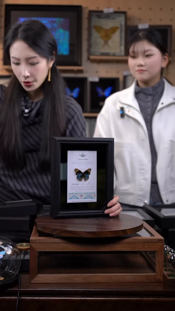 翠蓝眼蛱蝶新版本8寸