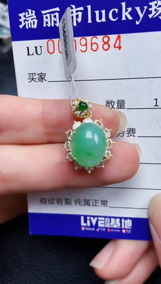 翡翠银S925镶嵌颈饰9684