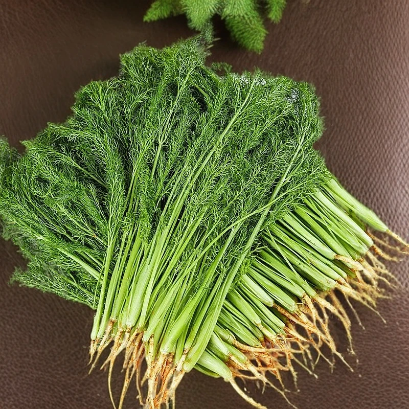 首都饮用水源地茴香拼头刀韭菜二斤(一斤韭菜一斤茴香)