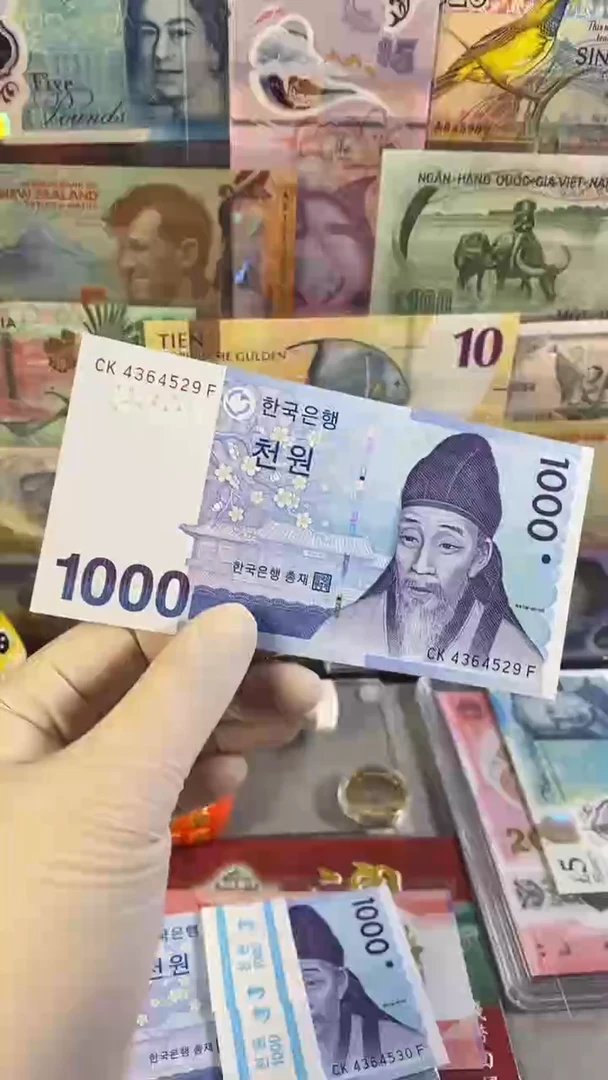 纸币韩国1000元 2007年版纸币