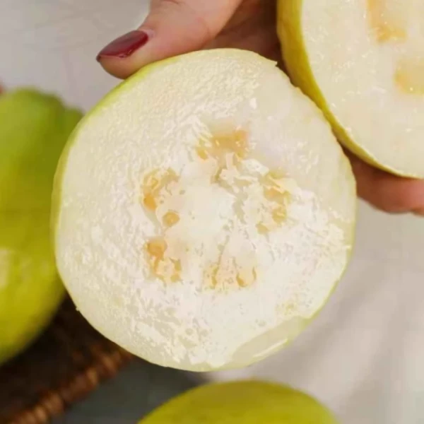 正宗广东奶油白心芭乐软糯香甜当季新鲜低糖水果脆甜番石榴红芭乐