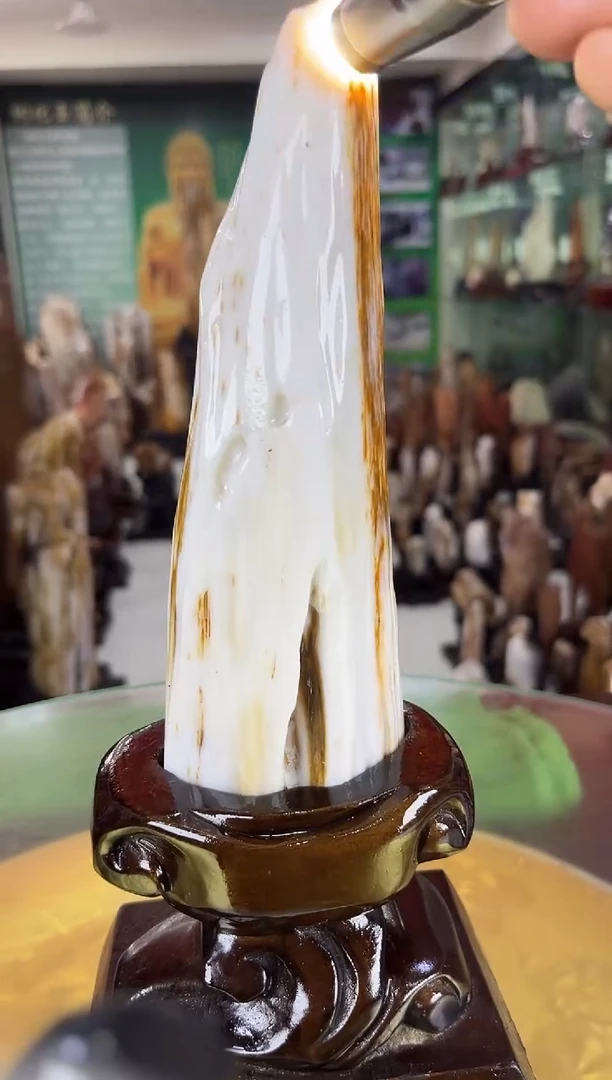 硅化玉珠宝奇石未镶嵌缅甸天然树化玉摆件