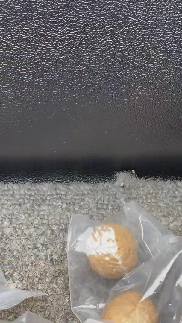 【闪购商品】文玩核桃把件蛇皮球