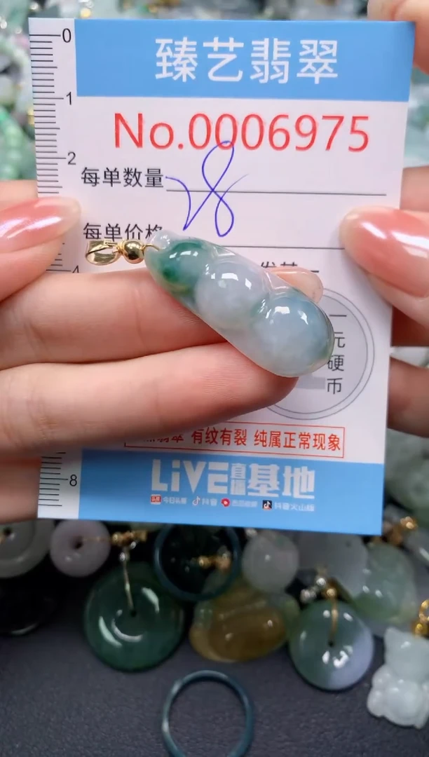 颈饰未镶嵌翡翠6975