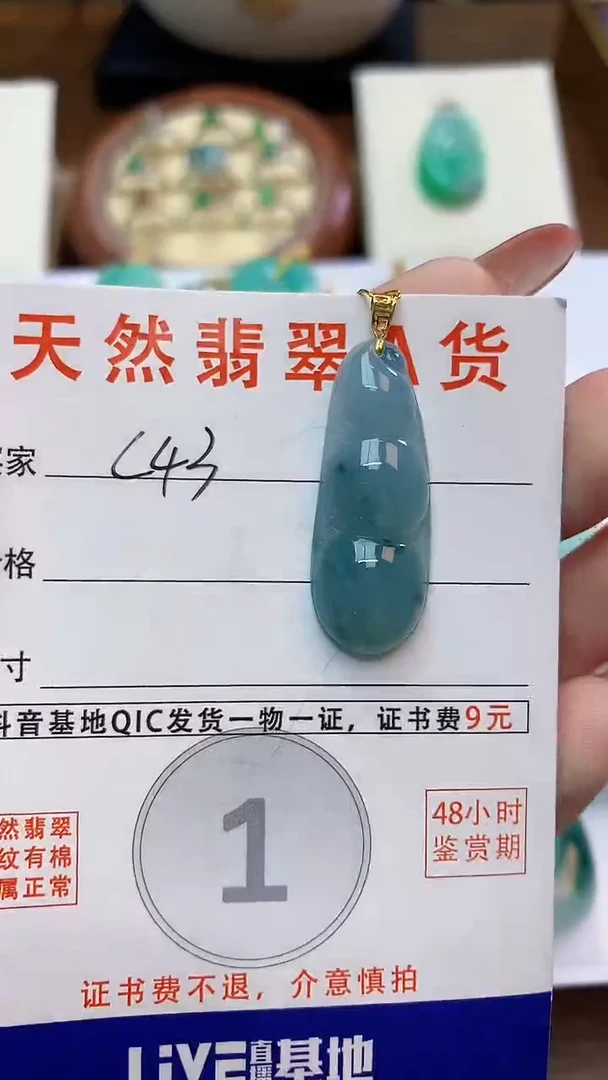 颈饰未镶嵌翡翠天然A货翡翠挂件