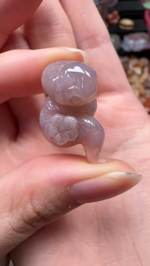 颈饰未镶嵌硅化珊瑚（珊瑚玉）833