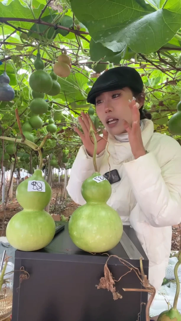 德****g537天然葫芦摆件 一物一拍龙头不保售后