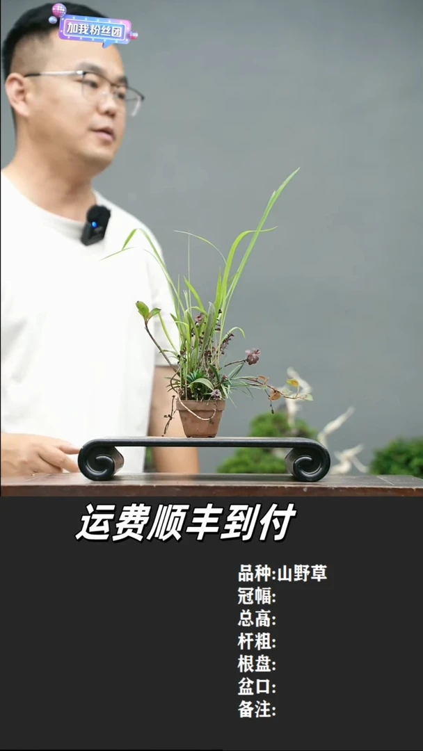 俞*16 山野草
