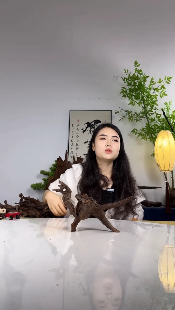 辞*拍沉木定向链接编号58