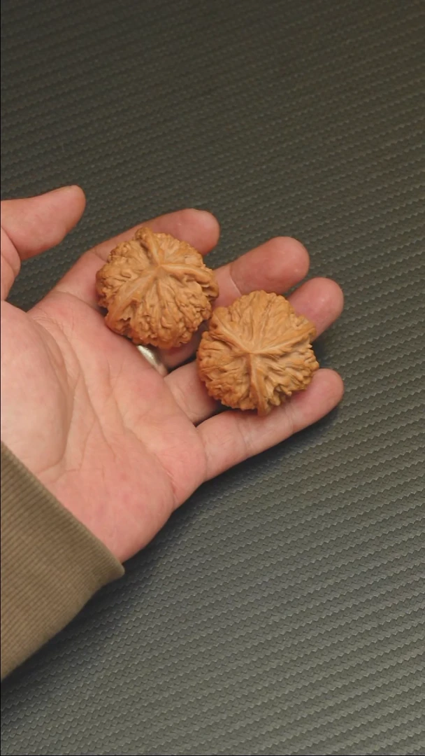 福利福利福利御龙粗筋全品40