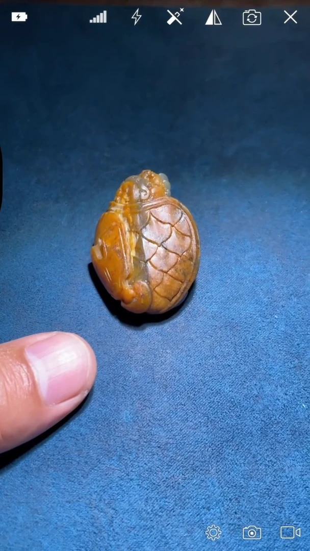 未镶嵌和田玉挂件小****面WZ  龙龟