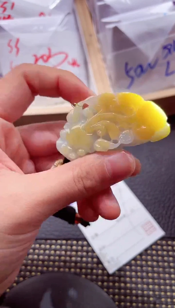 颈饰未镶嵌翡翠20251231