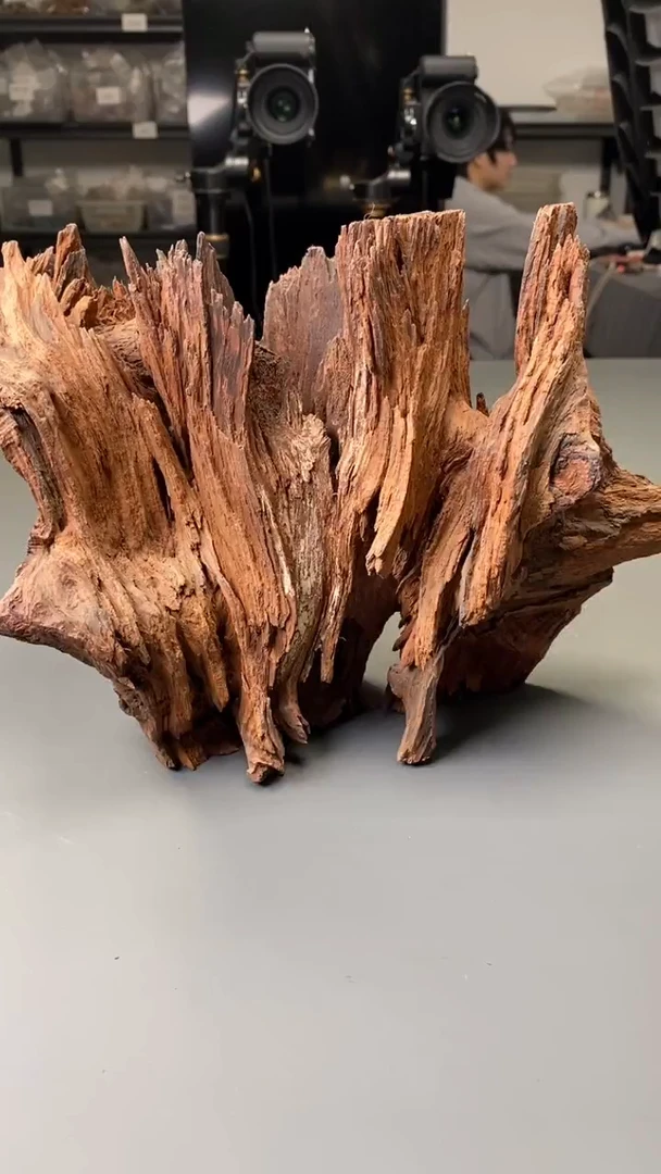 交趾黄檀（大红酸枝）把件大红酸枝 随型