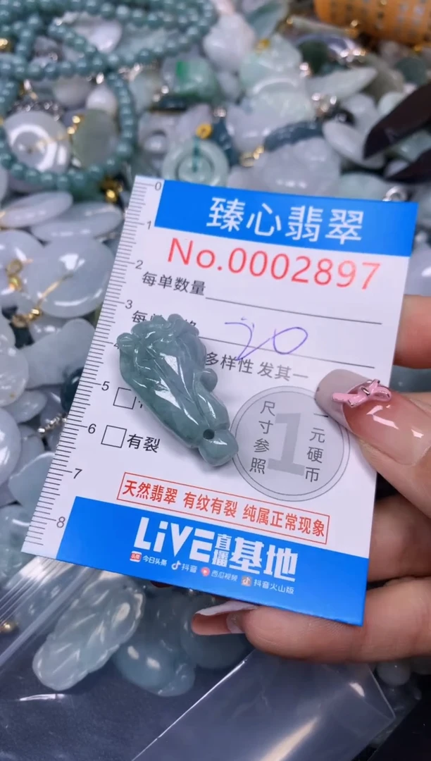 【闪购商品】翡翠颈饰未镶嵌含绳0002897