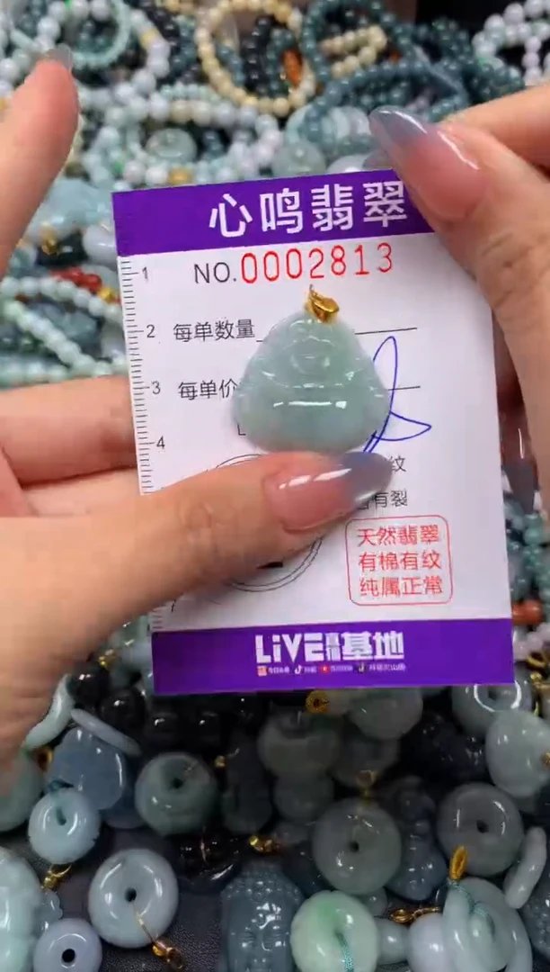 颈饰未镶嵌翡翠闪购002813