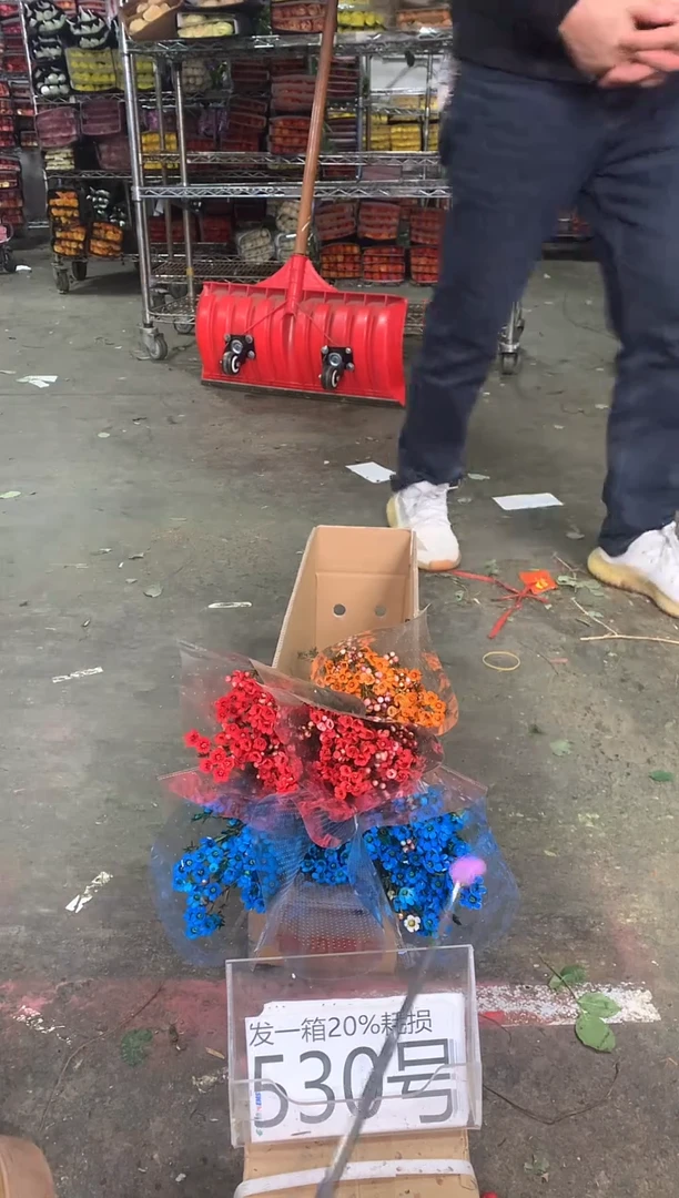 530/6号♥中通不指定随机颜色含20%耗损发一箱鲜花