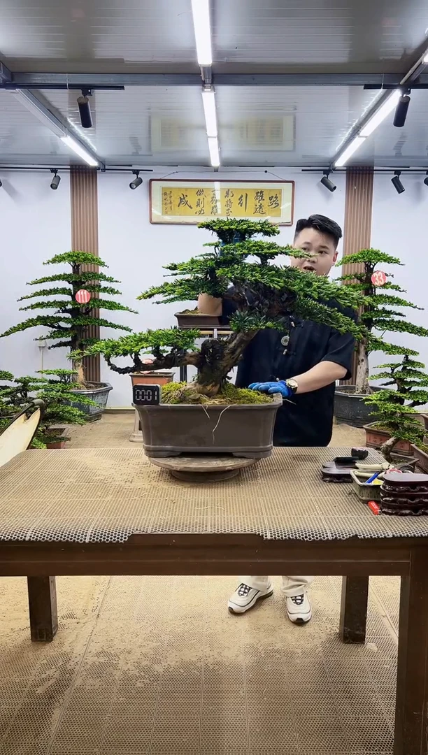 无花朵一物一拍，所见即所得
