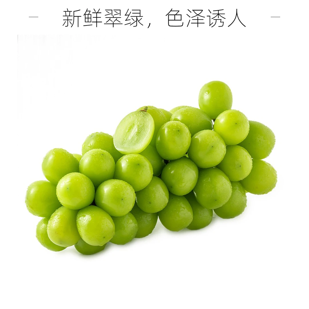 阳光玫瑰葡萄（大果） 约500g云南省