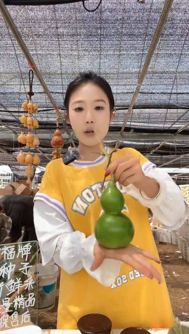 885天然葫芦摆件 一物一拍龙头不保售后