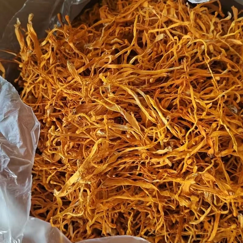 云南高原特色山货土特产