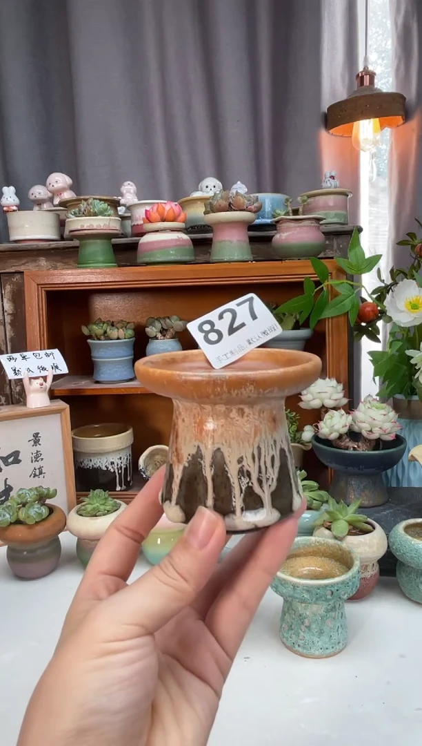 瓷片827知木小芳花盆知