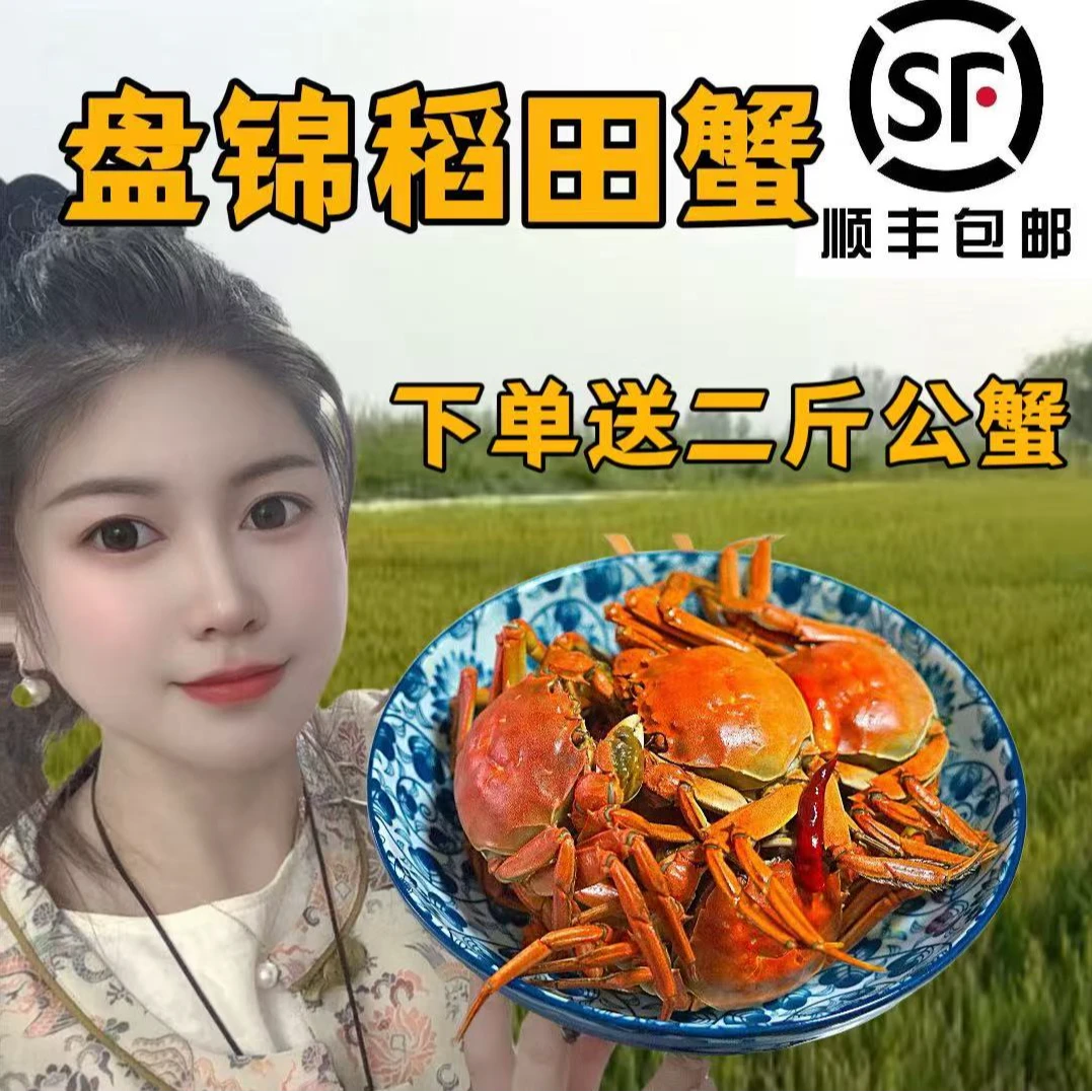 盘锦河蟹【活蟹】1-1.3两全母3斤（29只左右）下单送2斤公蟹