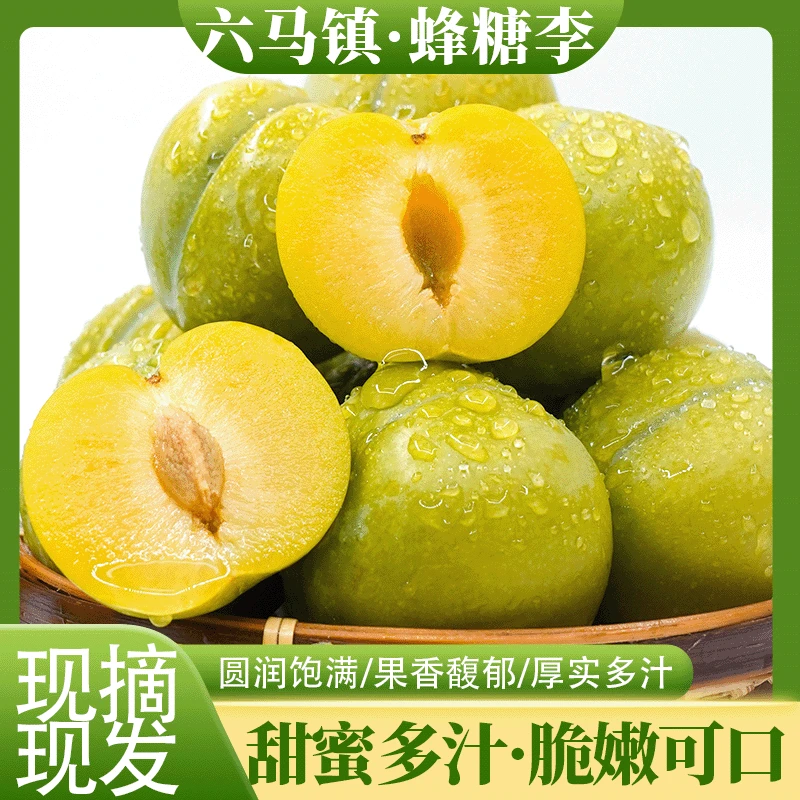 贵州安顺六马镇蜂糖李脆嫩可口甜蜜多汁现摘现发