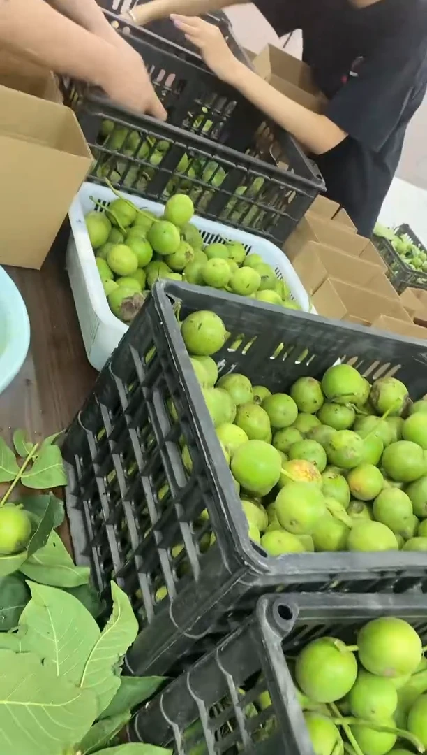 文玩核桃把件【君子协定，不tui不huan！】盘山新摘15个青皮果装