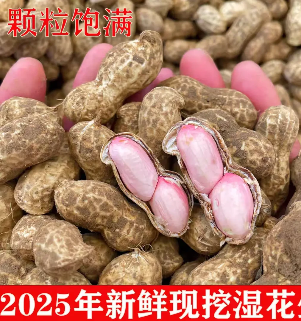 GY【到手五斤】新鲜湿花生带壳现挖粉皮花生生花生可水煮 人工挑选
