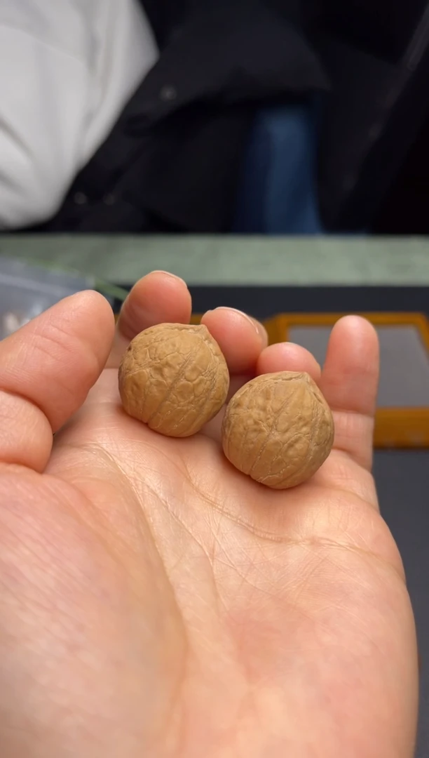 【闪购商品】桃核把件光头强，2.4，孟老师