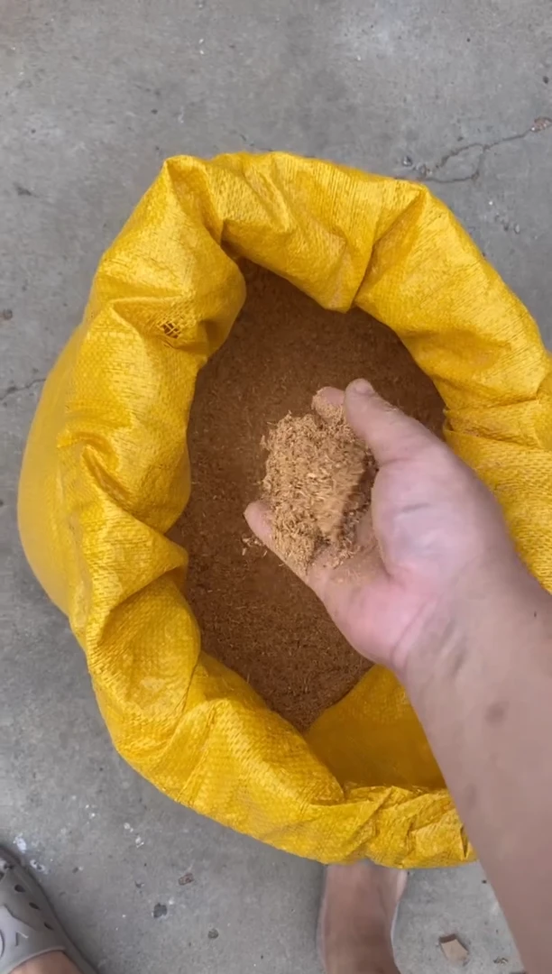 柏木（崖柏）太行崖柏陈化香粉