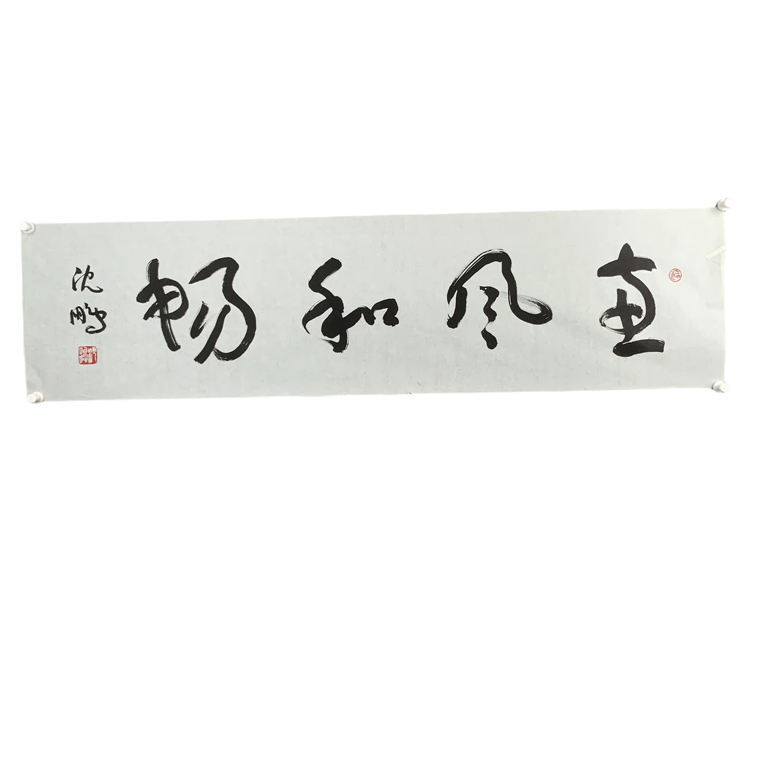 d289 沈鹏 书法 软片 尺寸36cm*139cm约5平尺