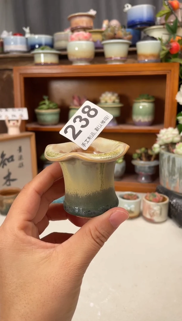 瓷片238知木小芳花盆直播编号