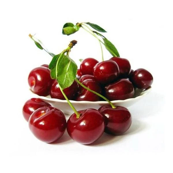 智利车厘子5斤4JD沈阳同城