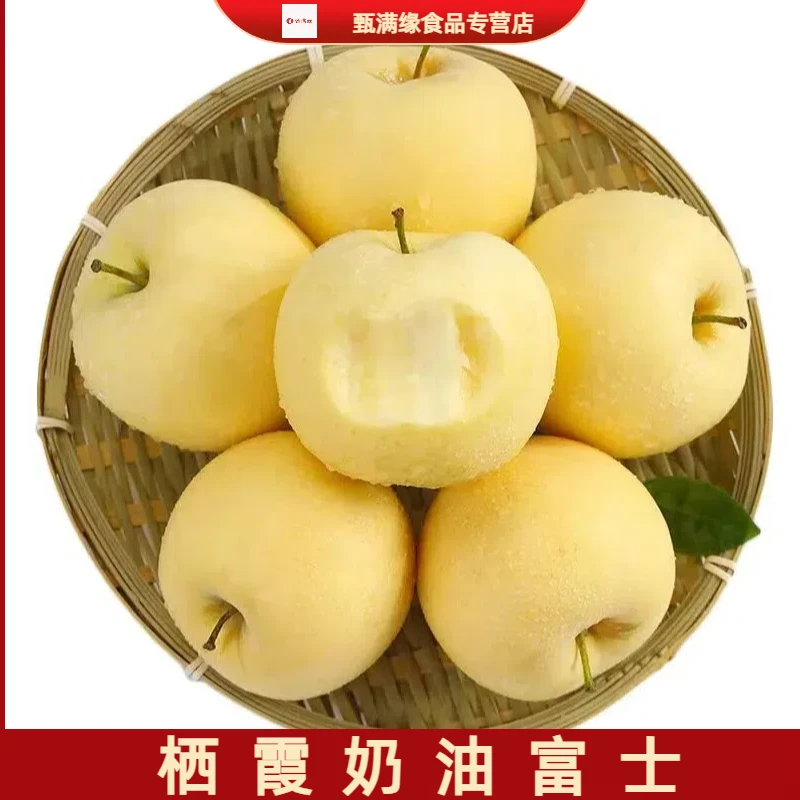 【2025年新果】山东烟台奶油富士苹果脆甜多汁应季水果4.5-5斤