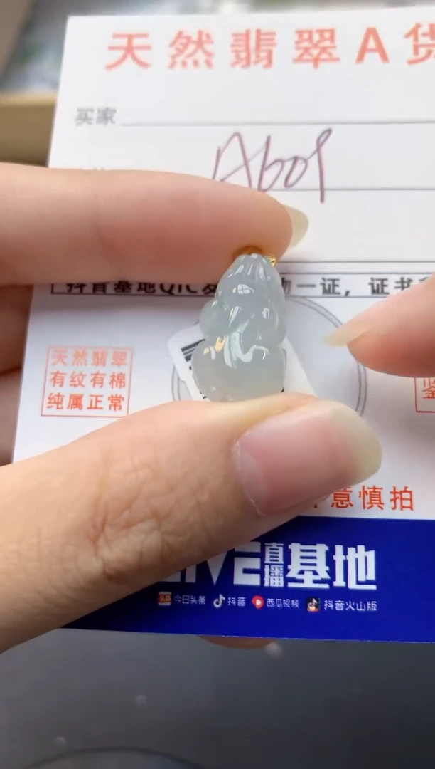 颈饰未镶嵌翡翠天然缅甸A货翡翠
