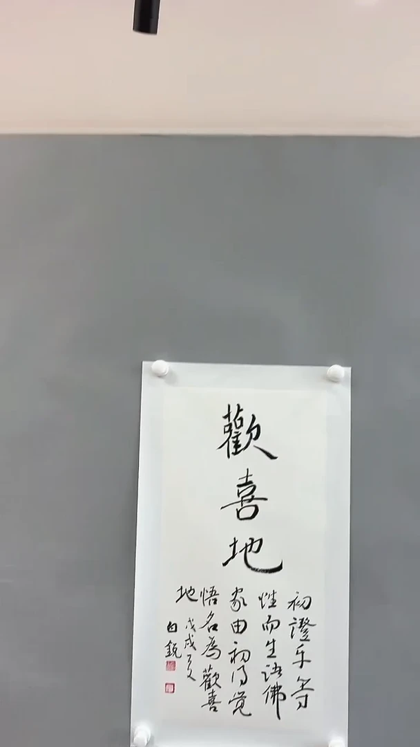 【闪购商品】书法雅艺典藏文化书法