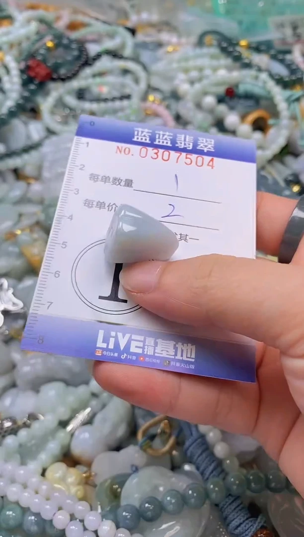 翡翠未镶嵌颈饰闪购0307504