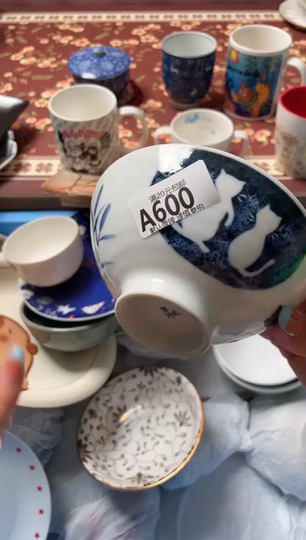 瓷片肉**️瓷器瓷器A600