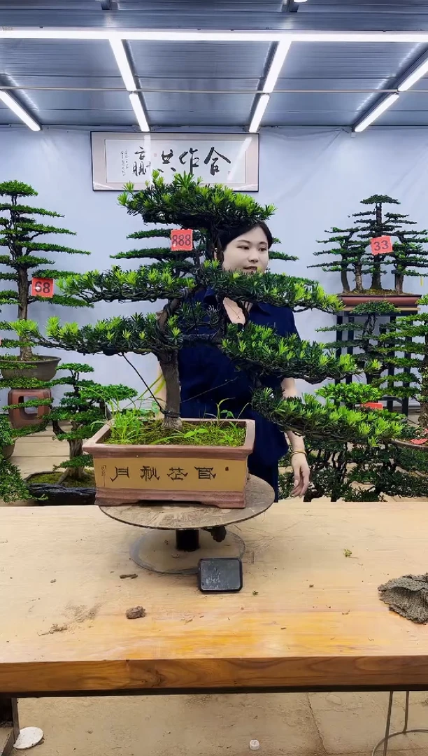 无花朵一物一拍，所见即所得