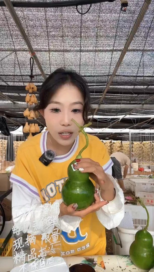 379天然葫芦摆件 一物一拍龙头不保售后