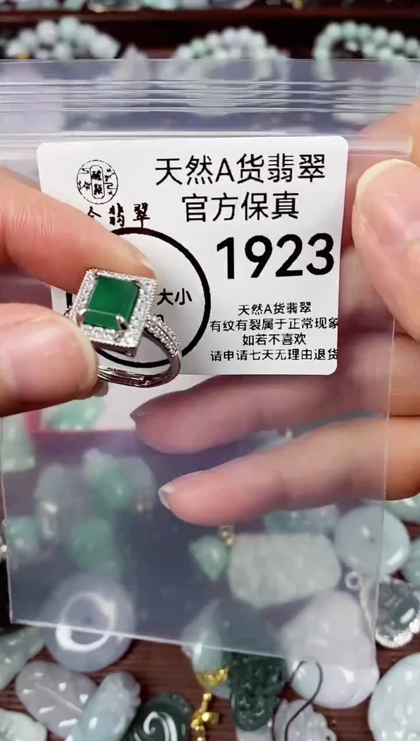 【闪购商品】翡翠颈饰未镶嵌天然A货翡翠1923